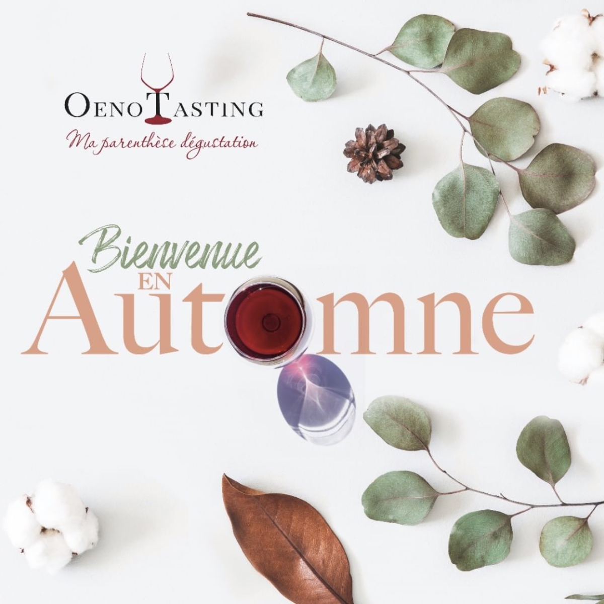anne-laure perrone – graphiste indépendante